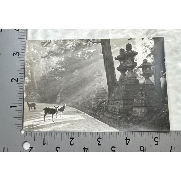 Nara-Park Japan RPPC Postcard Vintage Set of 9 Travel Souvenir Photos 1940s - Picture 6 of 16